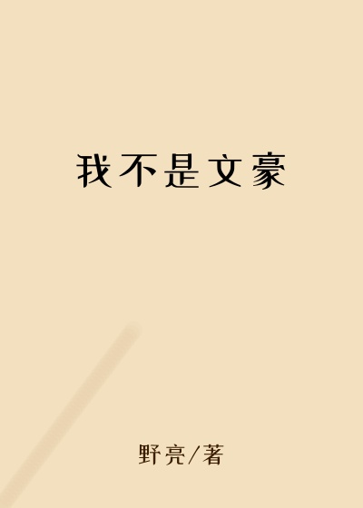 我不是文豪